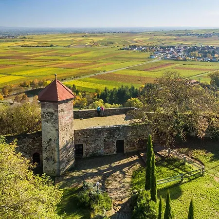 ホテル Hofgut Battenberg Battenberg (Rhineland-Palatinate)