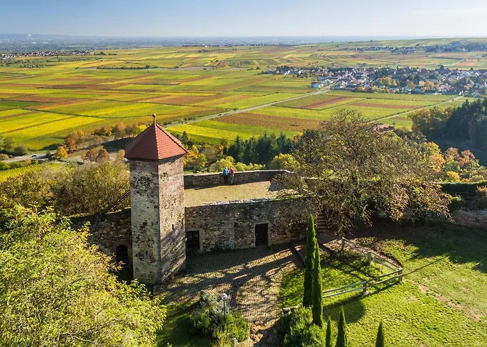 酒店 Hofgut Battenberg Battenberg (Rhineland-Palatinate)
