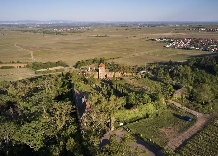 酒店 Hofgut Battenberg Battenberg (Rhineland-Palatinate)